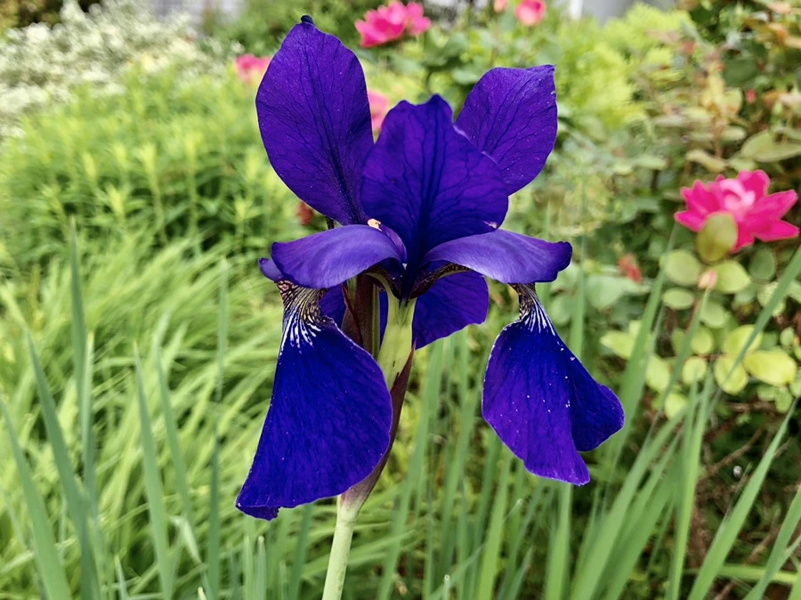 IMG_7573.jpg?type=w966