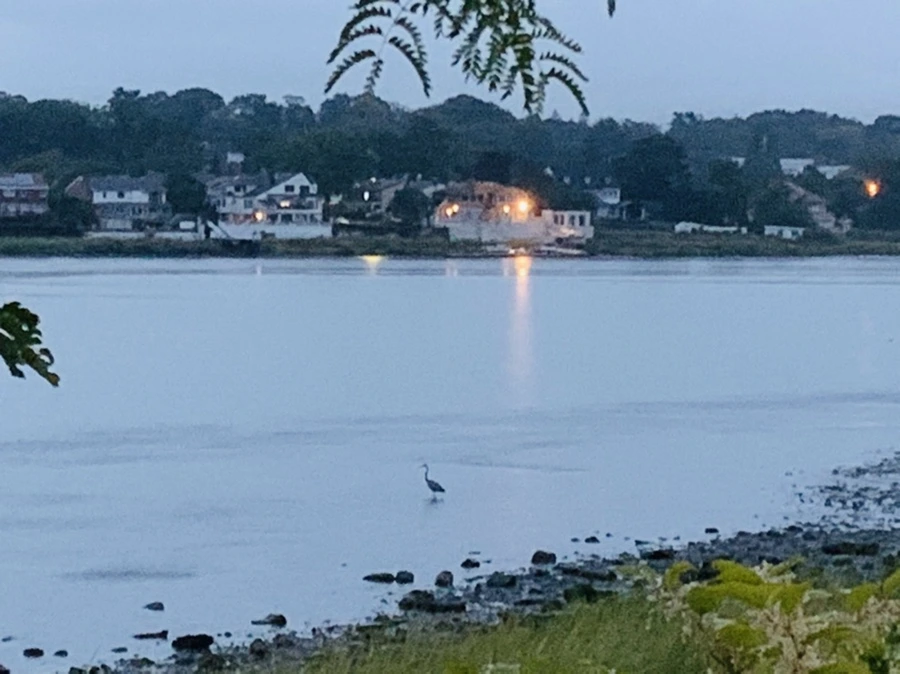 IMG_9218.jpg?type=w966