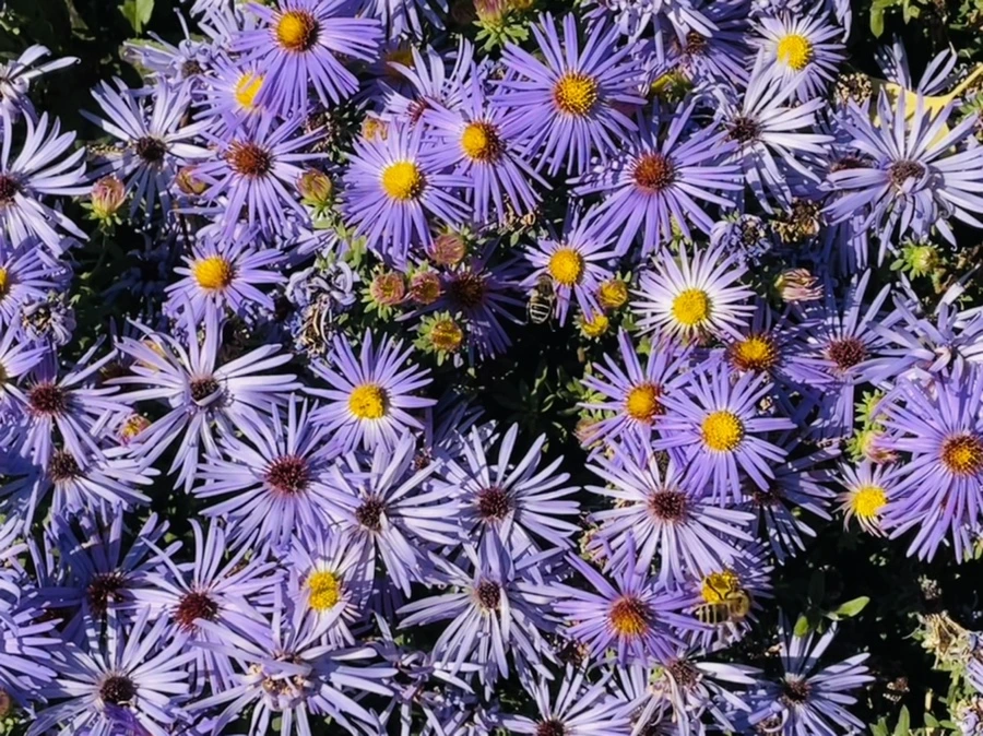 IMG_2009.jpg?type=w966