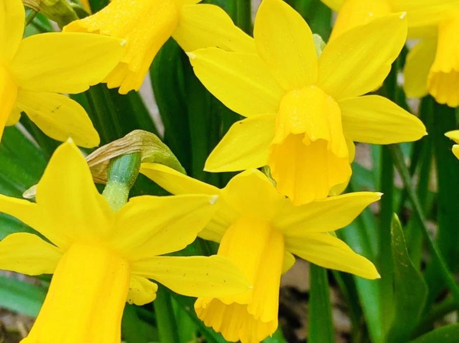 IMG_3209.jpg?type=w966