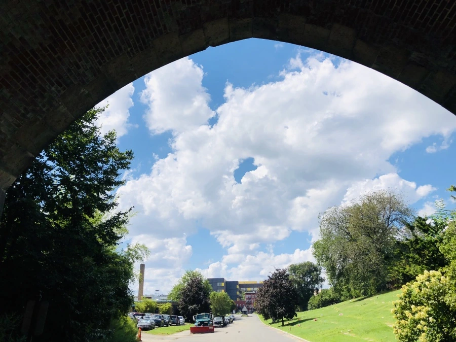 IMG_7383.jpg?type=w966