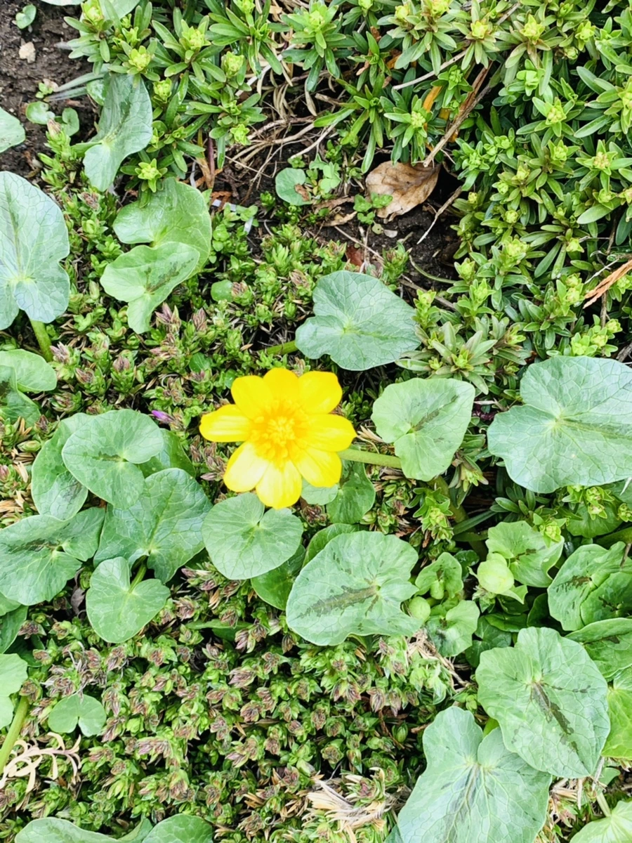 IMG_4052.jpg?type=w966