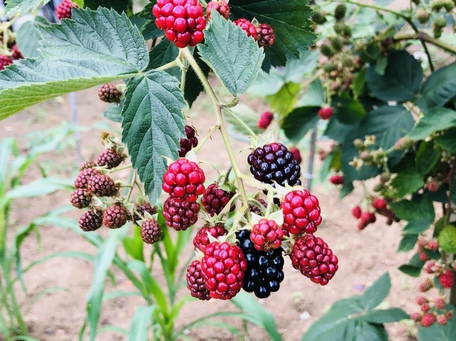 T3i9v8T77nTXdpPoaEsyjrAU7IM