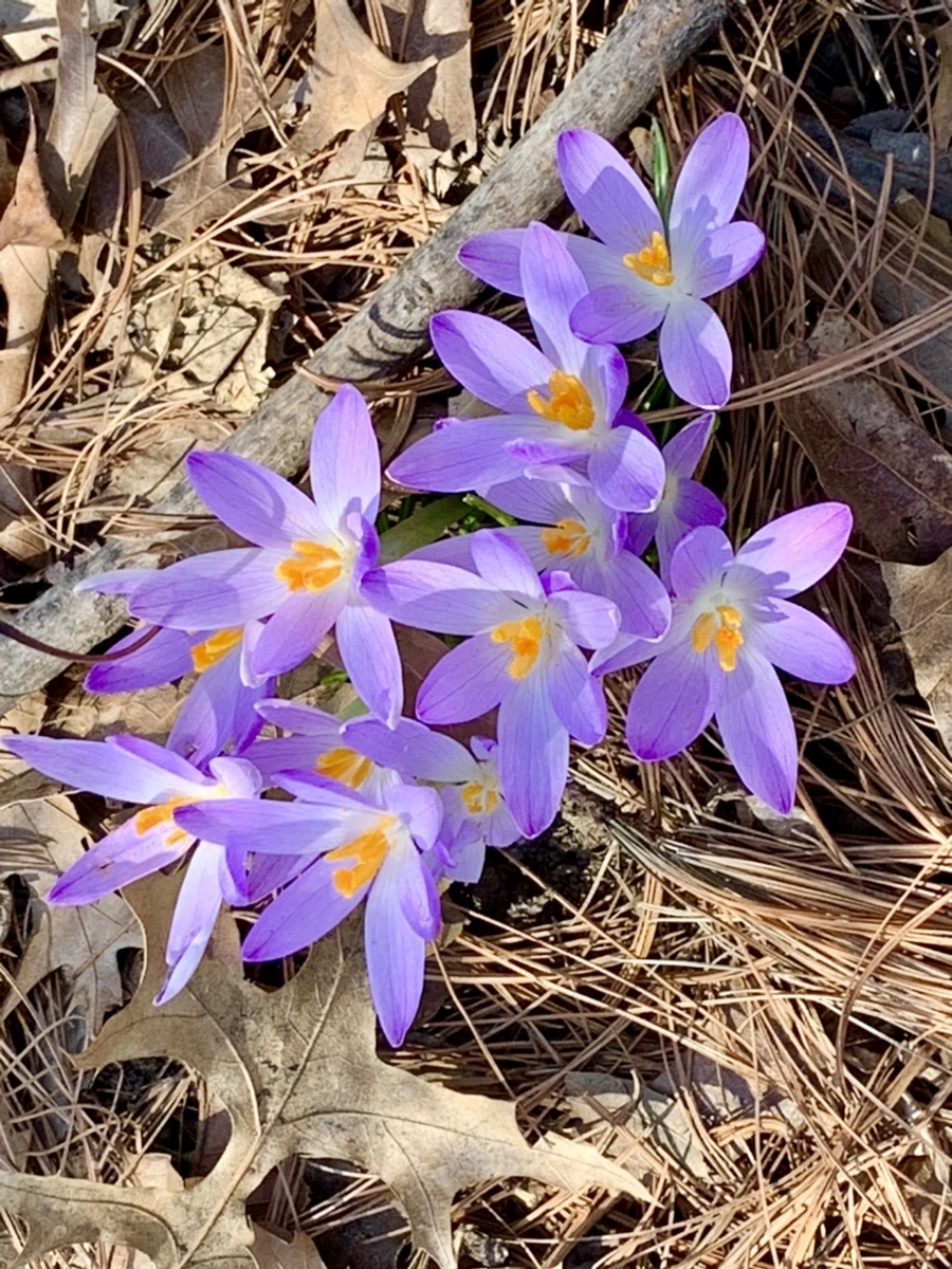 IMG_9751.jpg?type=w966