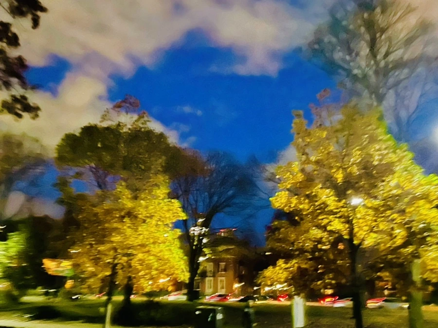 IMG_2827.jpg?type=w966