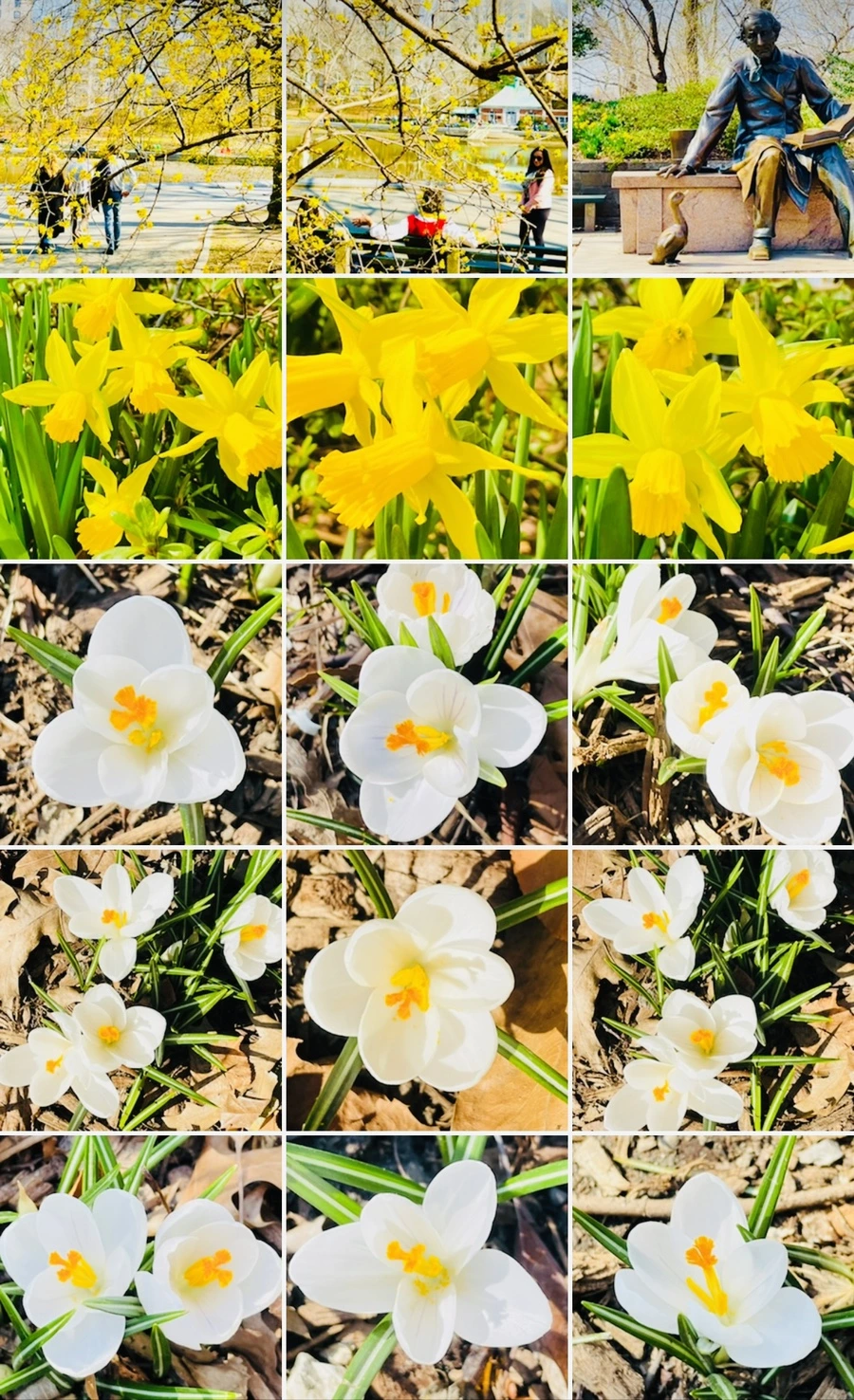 IMG_5662.jpg?type=w966