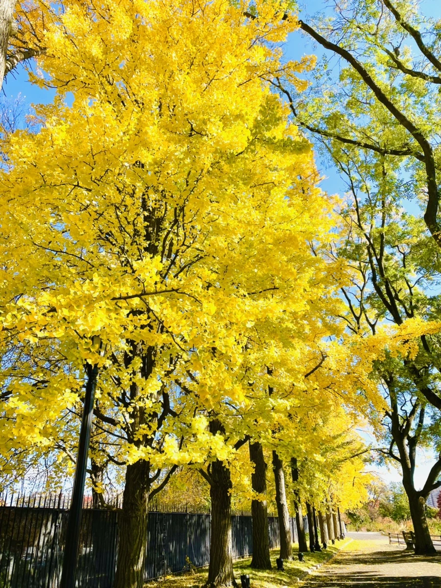 IMG_3020.jpg?type=w966