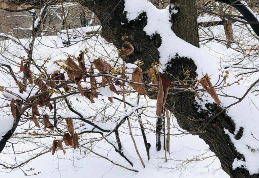 IMG_9570.jpg?type=w966