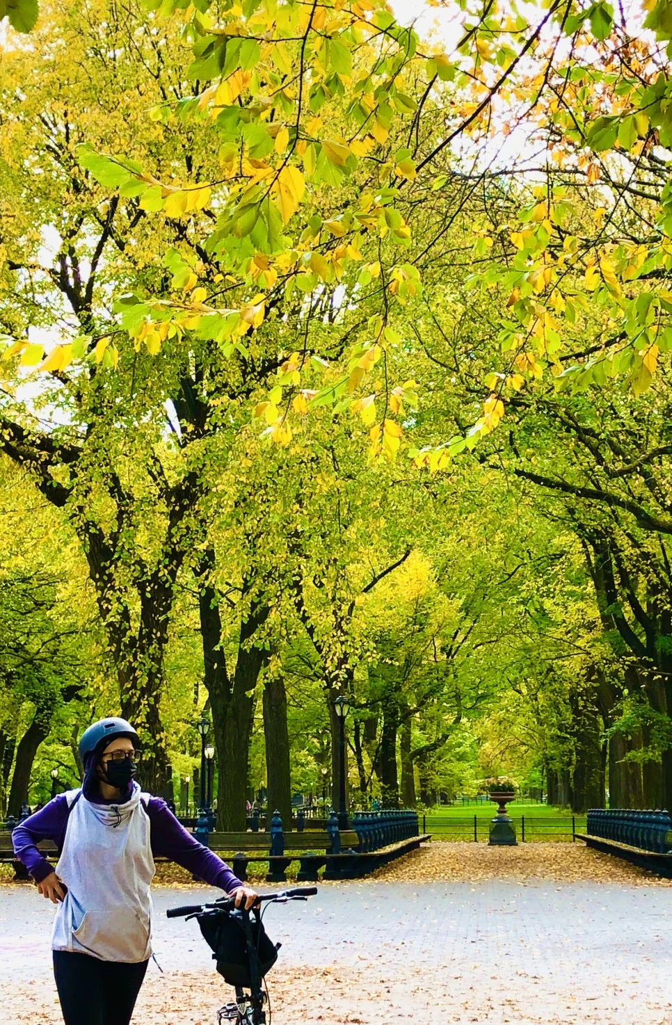 IMG_3063.jpg?type=w966