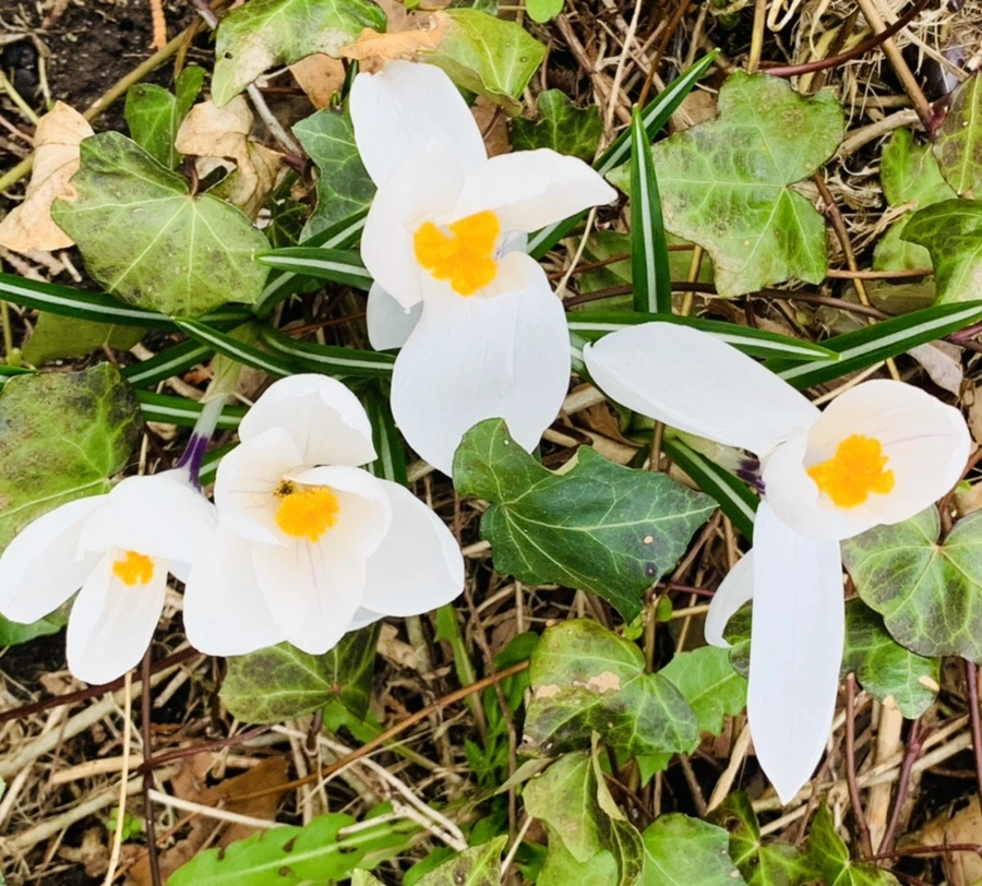 IMG_5879.jpg?type=w966