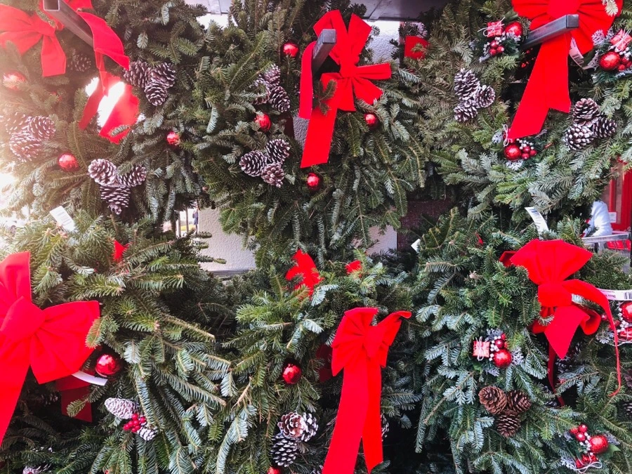 IMG_8196.jpg?type=w966