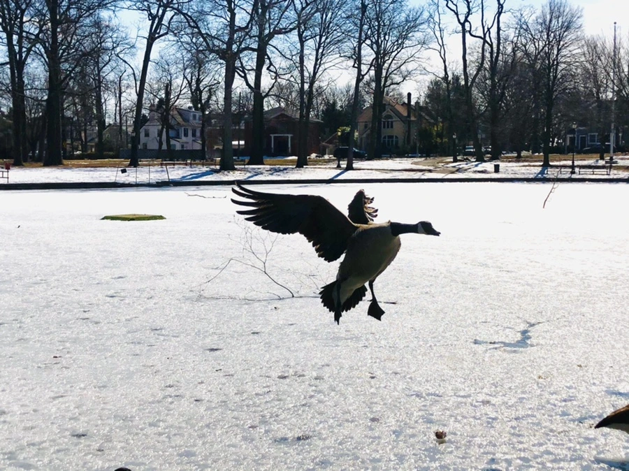 IMG_5068.jpg?type=w966