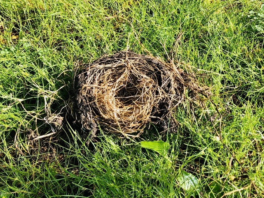 K2o3z0Vf6fech-cgiybnelRBZZc