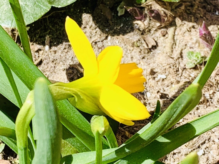 IMG_3412.jpg?type=w966