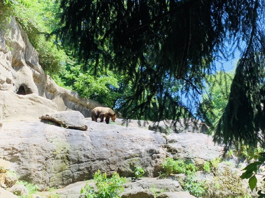 IMG_4240.jpg?type=w966