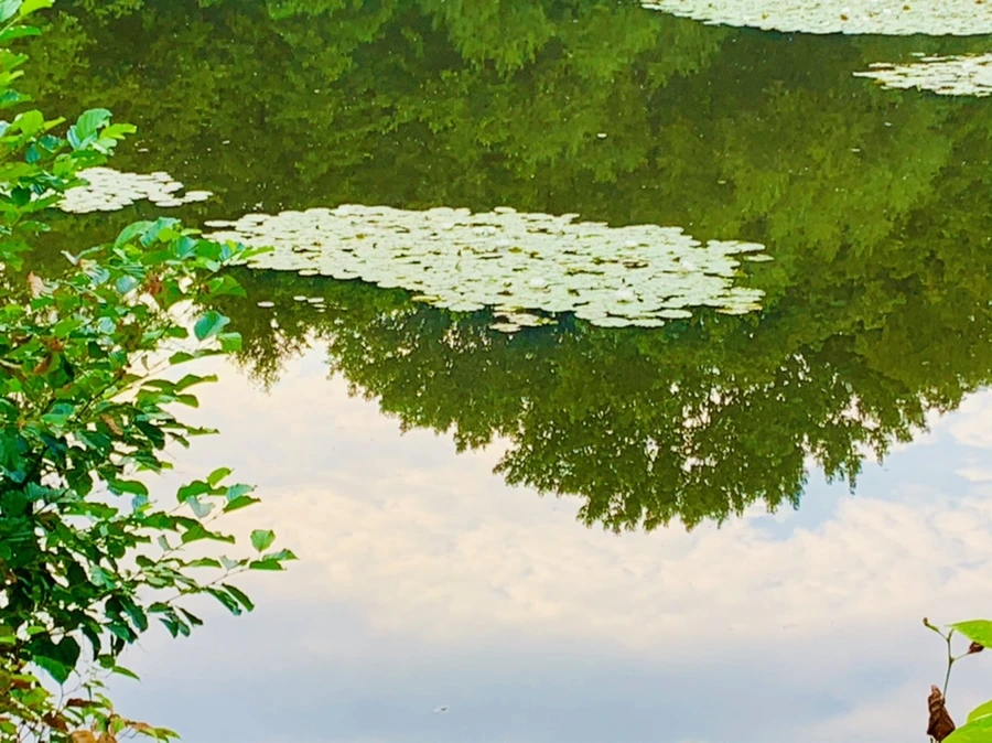 IMG_0404.jpg?type=w966