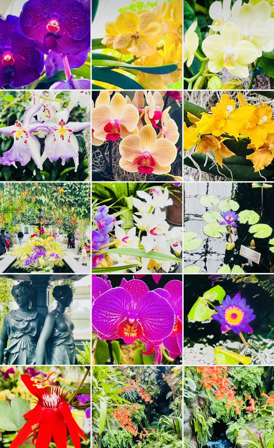 IMG_1431.jpg?type=w966