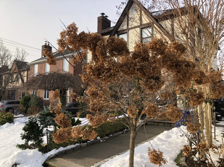 IMG_7715.jpg?type=w966