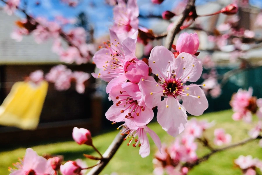 IMG_6601.jpg?type=w966