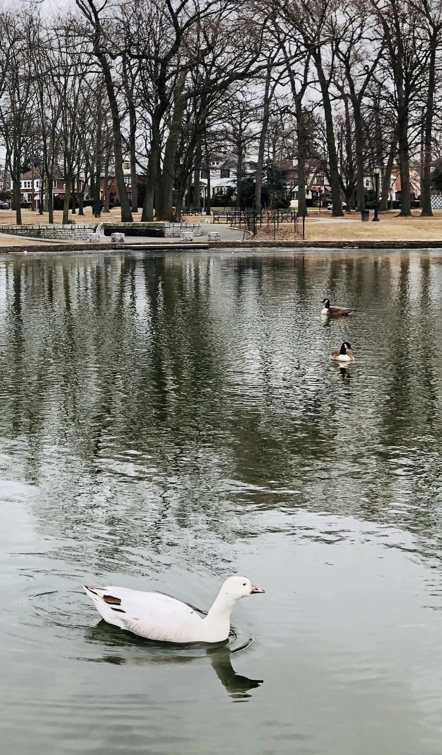 IMG_9521.jpg?type=w966