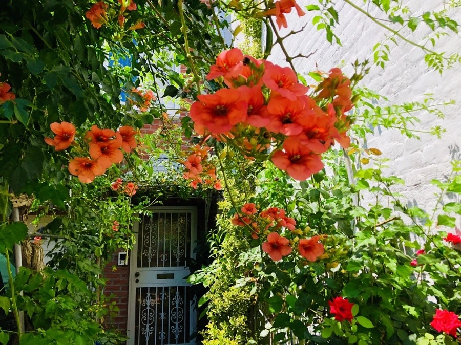 Mgw2Q4I-hMwHhmDI_gNk5tqMlpE