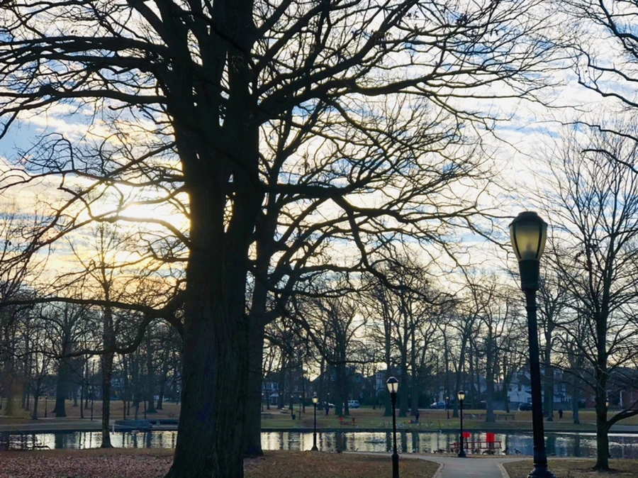 IMG_0162.jpg?type=w966