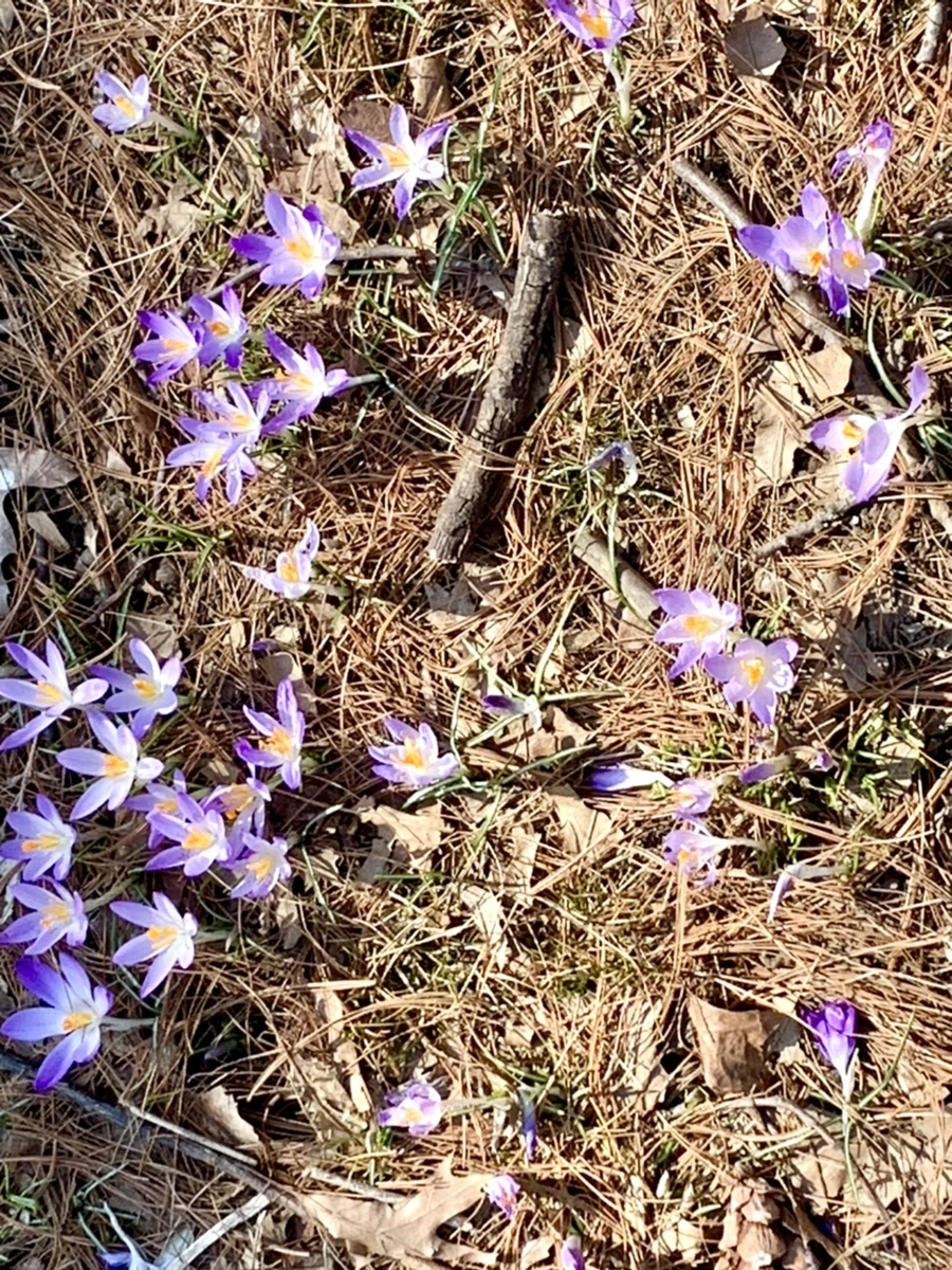 IMG_9762.jpg?type=w966