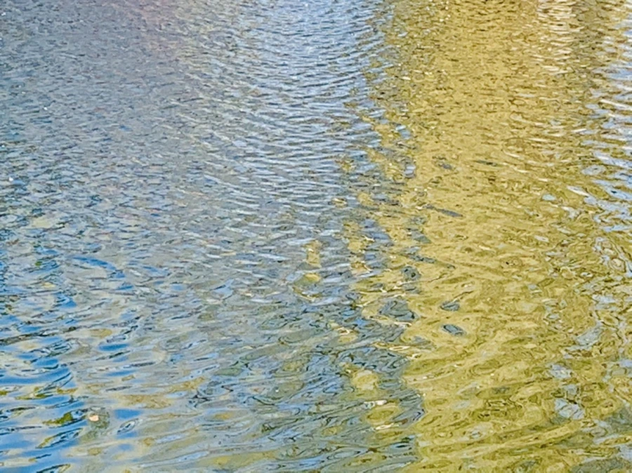 IMG_0636.jpg?type=w966