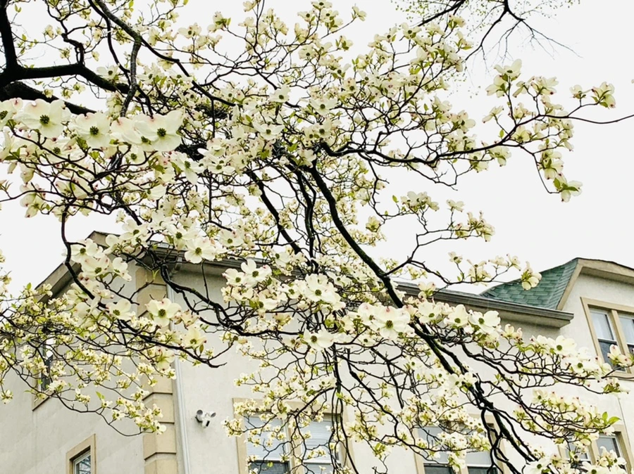 IMG_5317.jpg?type=w966