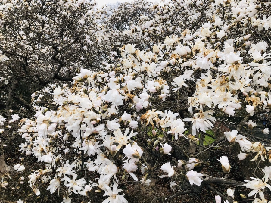 IMG_2339.jpg?type=w966