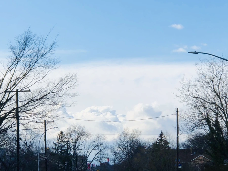 IMG_3726.jpg?type=w966