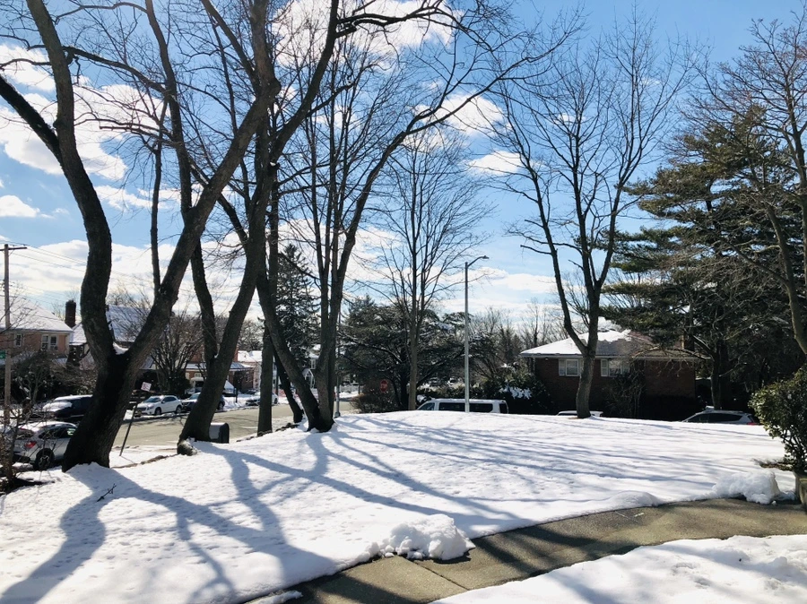 IMG_0428.jpg?type=w966