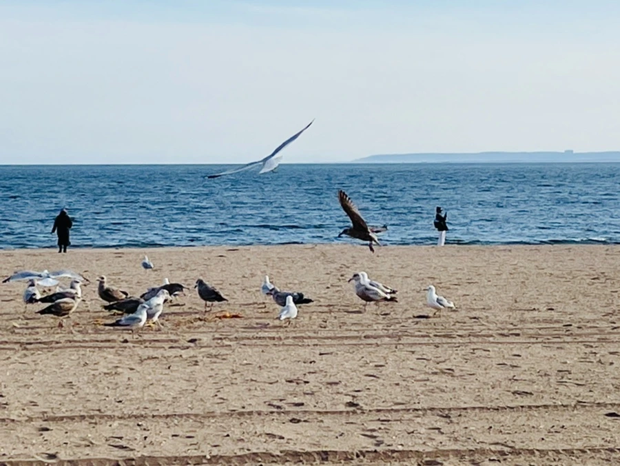 IMG_5039.jpg?type=w966