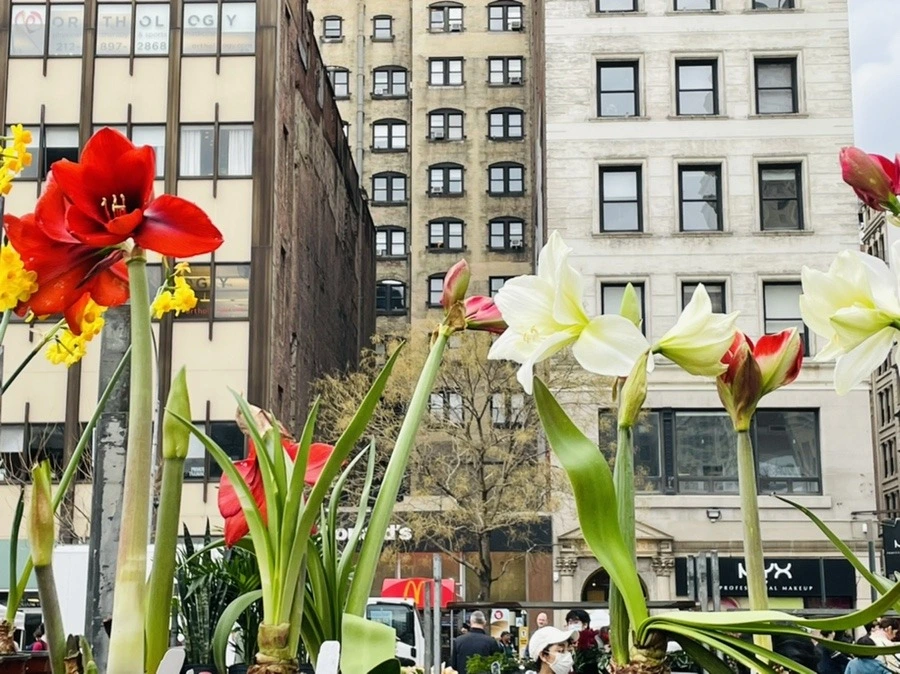 qGL1skyZ0iQ2IhvmEsizQEHh7cE