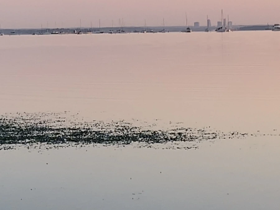 IMG_0157.jpg?type=w966