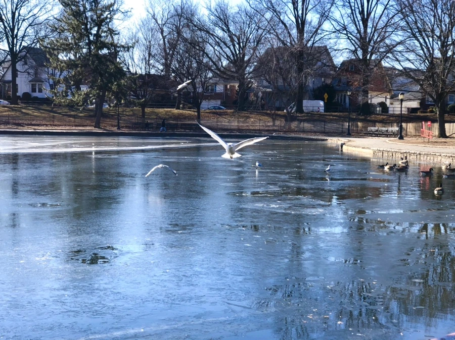 IMG_7939.jpg?type=w966