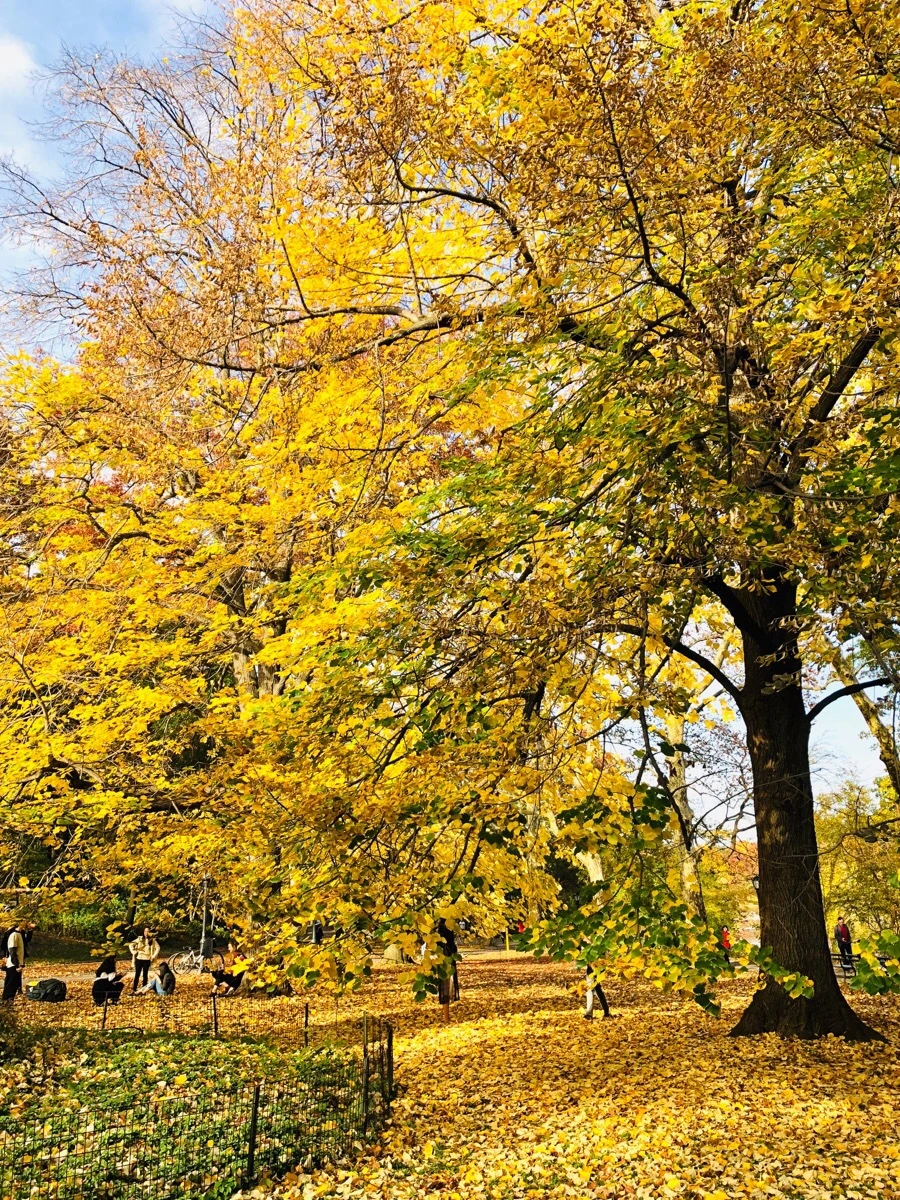 IMG_7535.jpg?type=w966