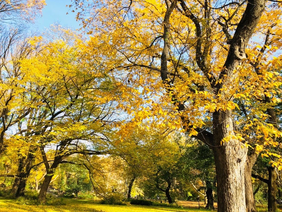 IMG_7508.jpg?type=w966