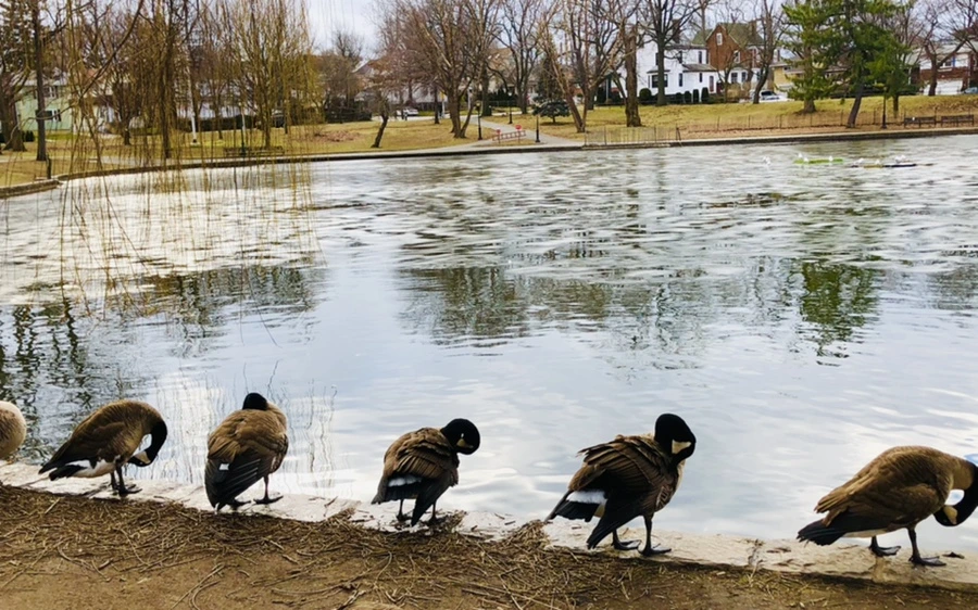 IMG_5067.jpg?type=w966