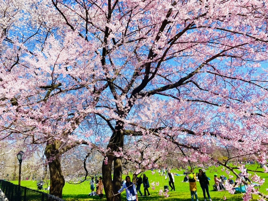 IMG_8367.jpg?type=w966