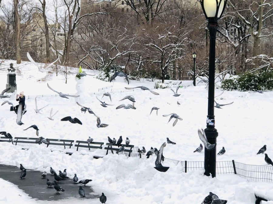 IMG_9133.jpg?type=w966