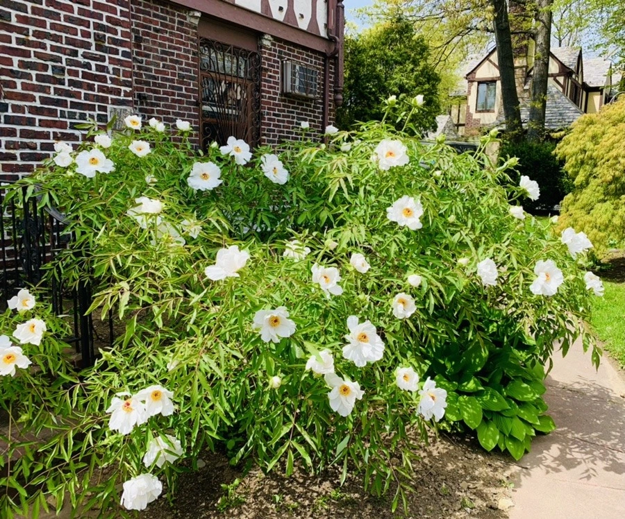 VpplpiOrmc_5TfElQ5Roj-0dljo