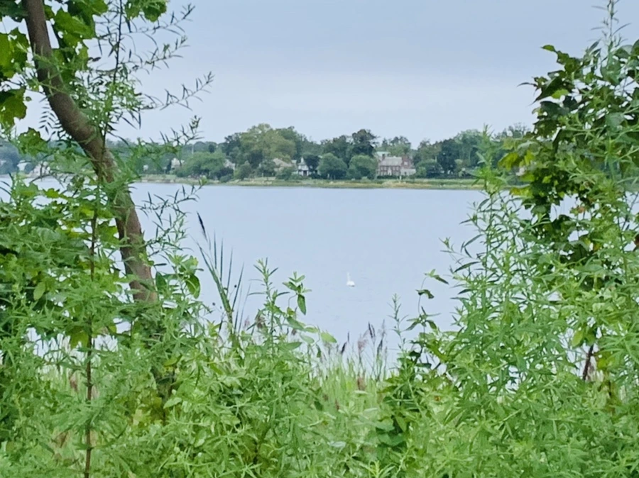 IMG_6163.jpg?type=w966