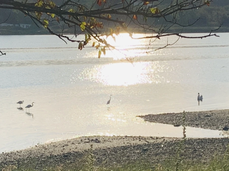 IMG_7793.jpg?type=w966