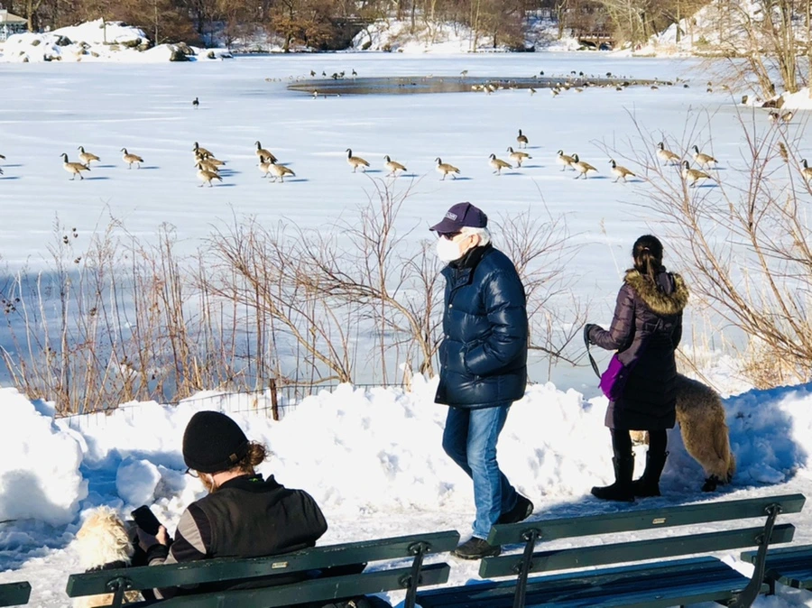 IMG_9867.jpg?type=w966