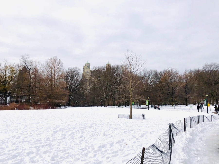 IMG_7331.jpg?type=w966