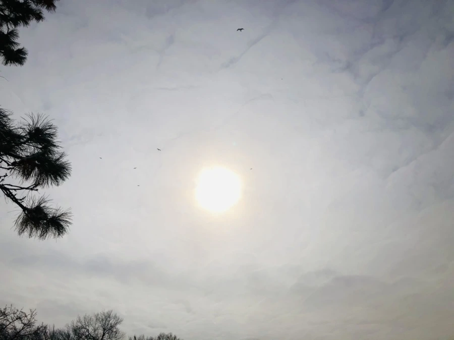 IMG_2182.jpg?type=w966