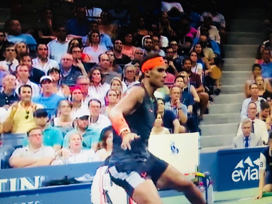 IMG_4015.jpg?type=w966