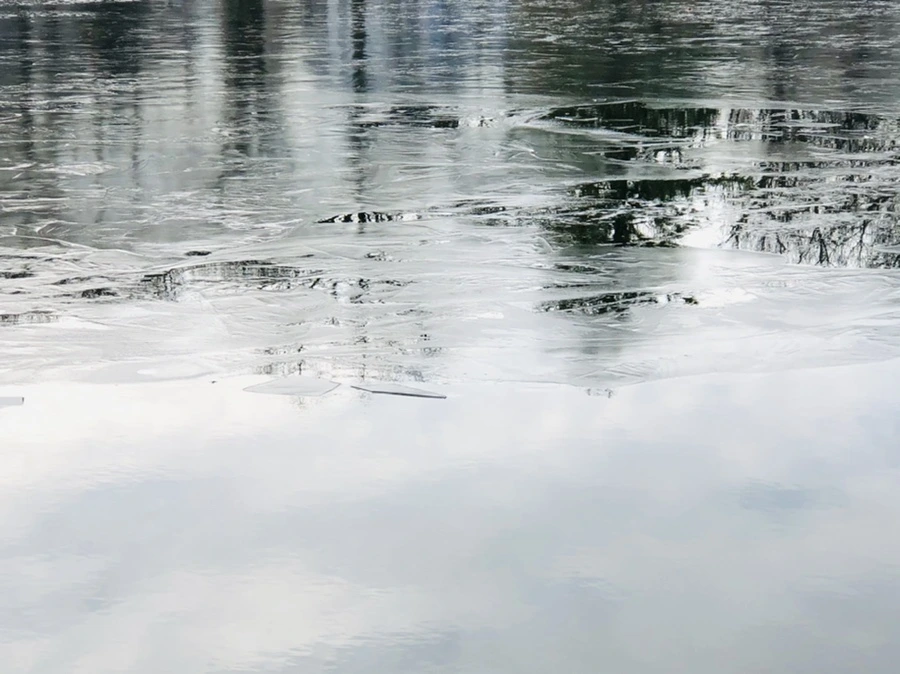 IMG_4789.jpg?type=w966