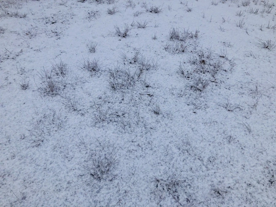 qtR_jZ_Y9KJRelCKfLNCRwXgB6o